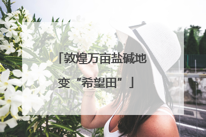 敦煌万亩盐碱地变“希望田”