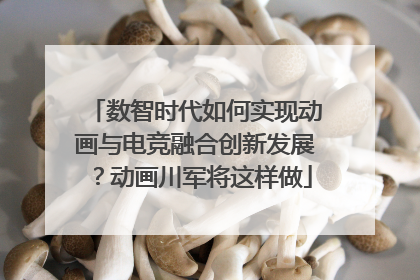 数智时代如何实现动画与电竞融合创新发展？动画川军将这样做