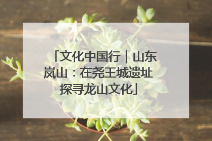 文化中国行｜山东岚山：在尧王城遗址探寻龙山文化