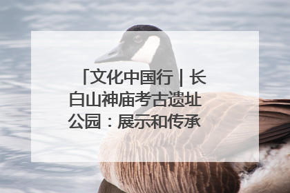 文化中国行｜长白山神庙考古遗址公园：展示和传承多民族文化交融
