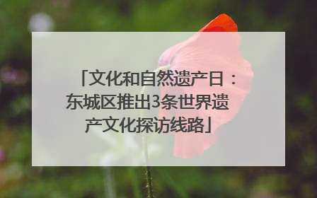 文化和自然遗产日：东城区推出3条世界遗产文化探访线路