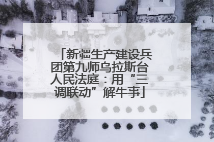 新疆生产建设兵团第九师乌拉斯台人民法庭：用“三调联动”解牛事