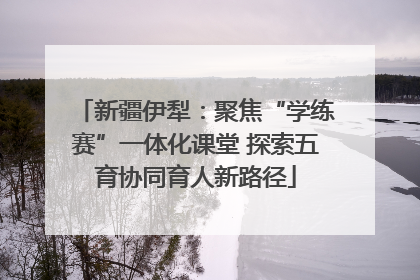 新疆伊犁：聚焦“学练赛”一体化课堂 探索五育协同育人新路径