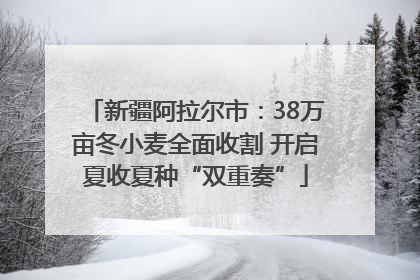 新疆阿拉尔市：38万亩冬小麦全面收割 开启夏收夏种“双重奏”