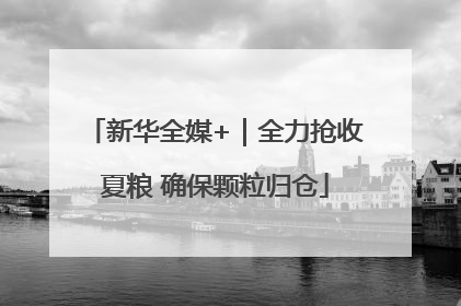 新华全媒+｜全力抢收夏粮 确保颗粒归仓