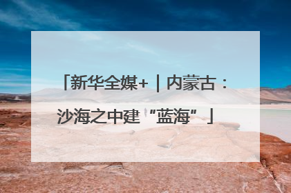 新华全媒+｜内蒙古：沙海之中建“蓝海”