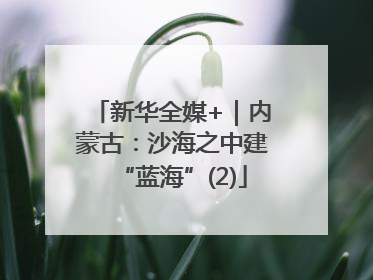 新华全媒+｜内蒙古：沙海之中建“蓝海”(2)