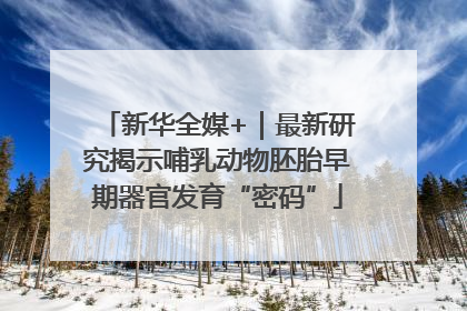 新华全媒+｜最新研究揭示哺乳动物胚胎早期器官发育“密码”