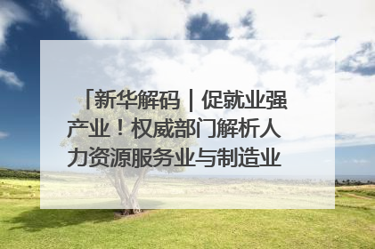 新华解码｜促就业强产业！权威部门解析人力资源服务业与制造业融合发展试点