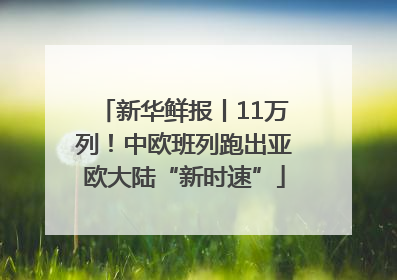 新华鲜报丨11万列！中欧班列跑出亚欧大陆“新时速”