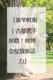 新华鲜报｜古都携手丝路！丝博会绽放新活力