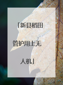 新县稻田管护用上无人机