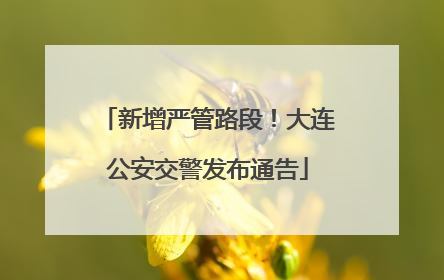 新增严管路段！大连公安交警发布通告