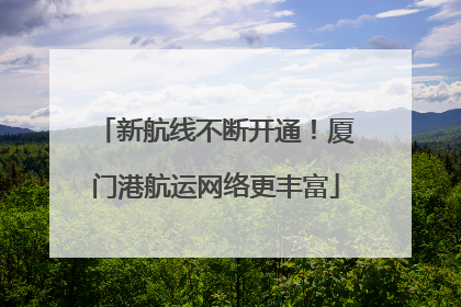 新航线不断开通！厦门港航运网络更丰富