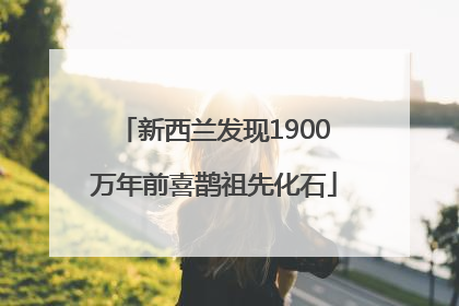 新西兰发现1900万年前喜鹊祖先化石