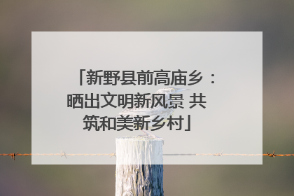 新野县前高庙乡：晒出文明新风景 共筑和美新乡村