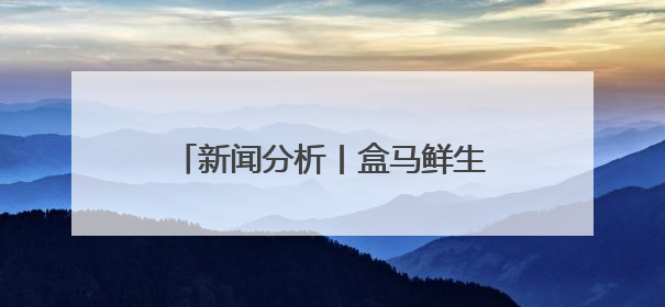 新闻分析丨盒马鲜生为何“相中”石家庄