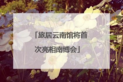 旅居云南馆将首次亮相南博会