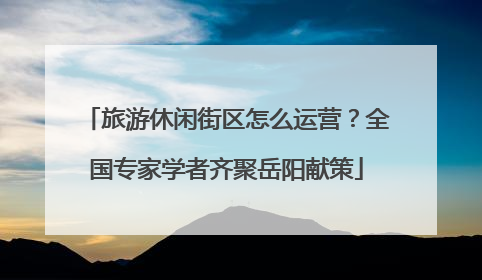 旅游休闲街区怎么运营？全国专家学者齐聚岳阳献策
