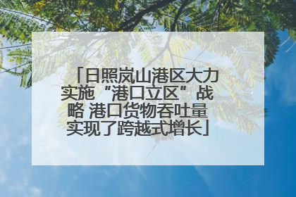 日照岚山港区大力实施“港口立区”战略 港口货物吞吐量实现了跨越式增长