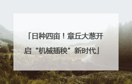 日种四亩！章丘大葱开启“机械插秧”新时代