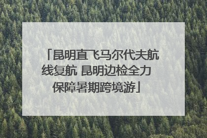 昆明直飞马尔代夫航线复航 昆明边检全力保障暑期跨境游
