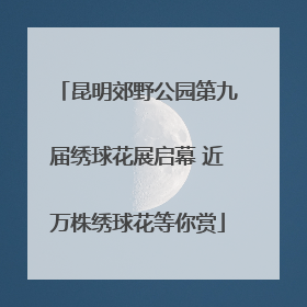 昆明郊野公园第九届绣球花展启幕 近万株绣球花等你赏