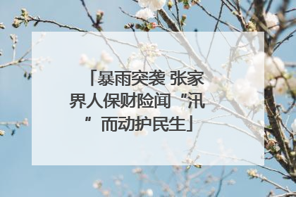 暴雨突袭 张家界人保财险闻“汛”而动护民生