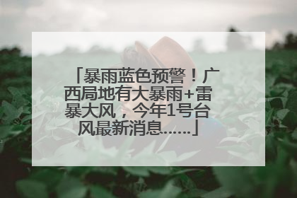 暴雨蓝色预警！广西局地有大暴雨+雷暴大风，今年1号台风最新消息……