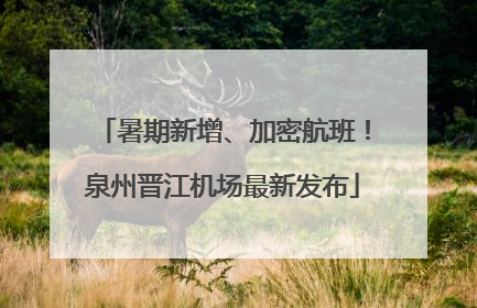暑期新增、加密航班！泉州晋江机场最新发布