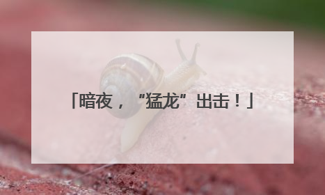 暗夜，“猛龙”出击！