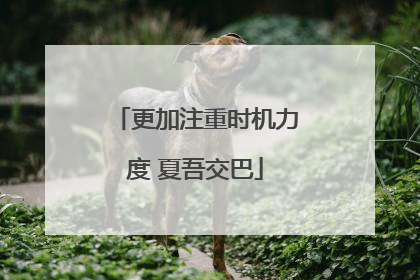 更加注重时机力度 夏吾交巴