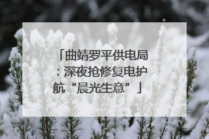 曲靖罗平供电局：深夜抢修复电护航“晨光生意”