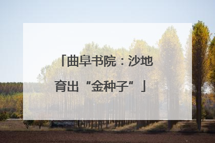 曲阜书院：沙地育出“金种子”
