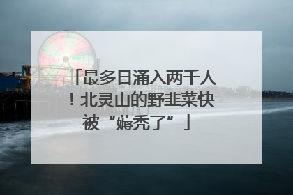最多日涌入两千人！北灵山的野韭菜快被“薅秃了”