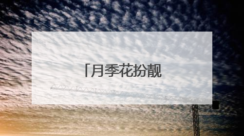 月季花扮靓北京道路
