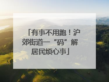 有事不用跑！沪郊街道一“码”解居民烦心事