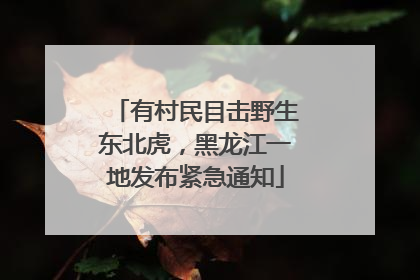 有村民目击野生东北虎，黑龙江一地发布紧急通知