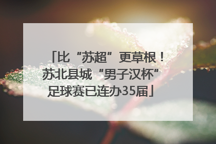 比“苏超”更草根！苏北县城“男子汉杯”足球赛已连办35届