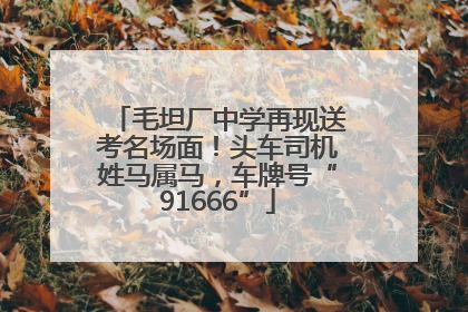 毛坦厂中学再现送考名场面！头车司机姓马属马，车牌号“91666”