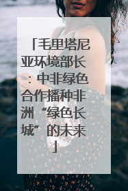 毛里塔尼亚环境部长：中非绿色合作播种非洲“绿色长城”的未来