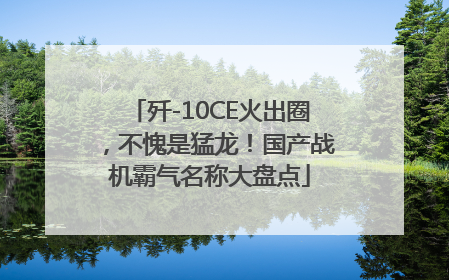 歼-10CE火出圈，不愧是猛龙！国产战机霸气名称大盘点