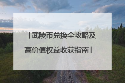 武陵币兑换全攻略及高价值权益收获指南