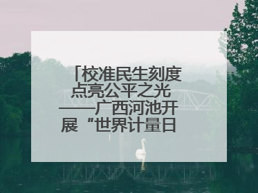 校准民生刻度 点亮公平之光——广西河池开展“世界计量日”系列活动