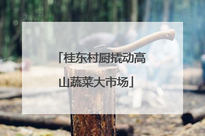 桂东村厨撬动高山蔬菜大市场
