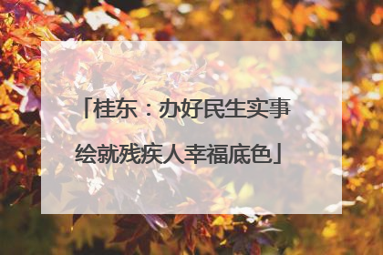 桂东：办好民生实事 绘就残疾人幸福底色