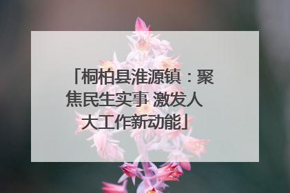 桐柏县淮源镇：聚焦民生实事 激发人大工作新动能