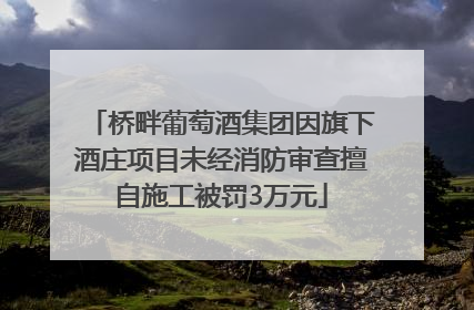 桥畔葡萄酒集团因旗下酒庄项目未经消防审查擅自施工被罚3万元
