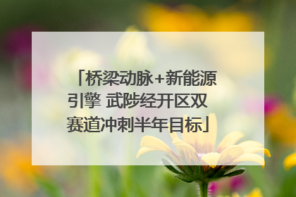 桥梁动脉+新能源引擎 武陟经开区双赛道冲刺半年目标
