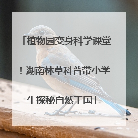 植物园变身科学课堂！湖南林草科普带小学生探秘自然王国